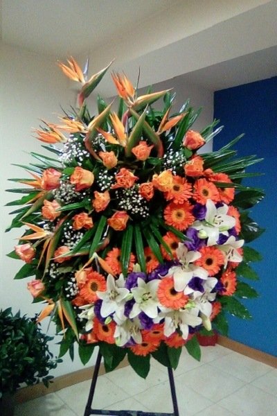 Arreglo de condolencias